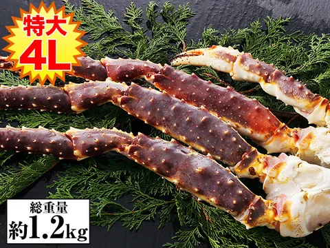 生たらばがに肩脚 1肩（4L）（タラバガニ・生・肩脚（殻付き））の商品写真（公式サイト掲載）