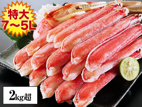 生ずわい半むき身満足セット 2kg超（7L〜5L）（ズワイガニ・生・半むき身（カット済み））の商品写真（公式サイト掲載）