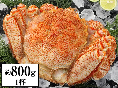 北海道浜茹で毛がに姿 1杯（約800g）（毛ガニ・ボイル（浜茹で）・姿（殻付き））の商品写真（公式サイト掲載）